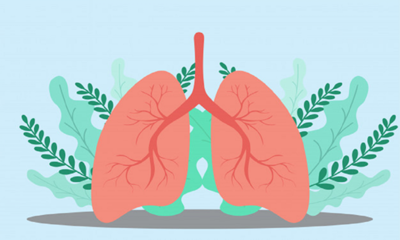 Bảo Phế Vương giúp lá phổi của bạn khỏe mạnh, phòng tránh tác hại của thủy ngân